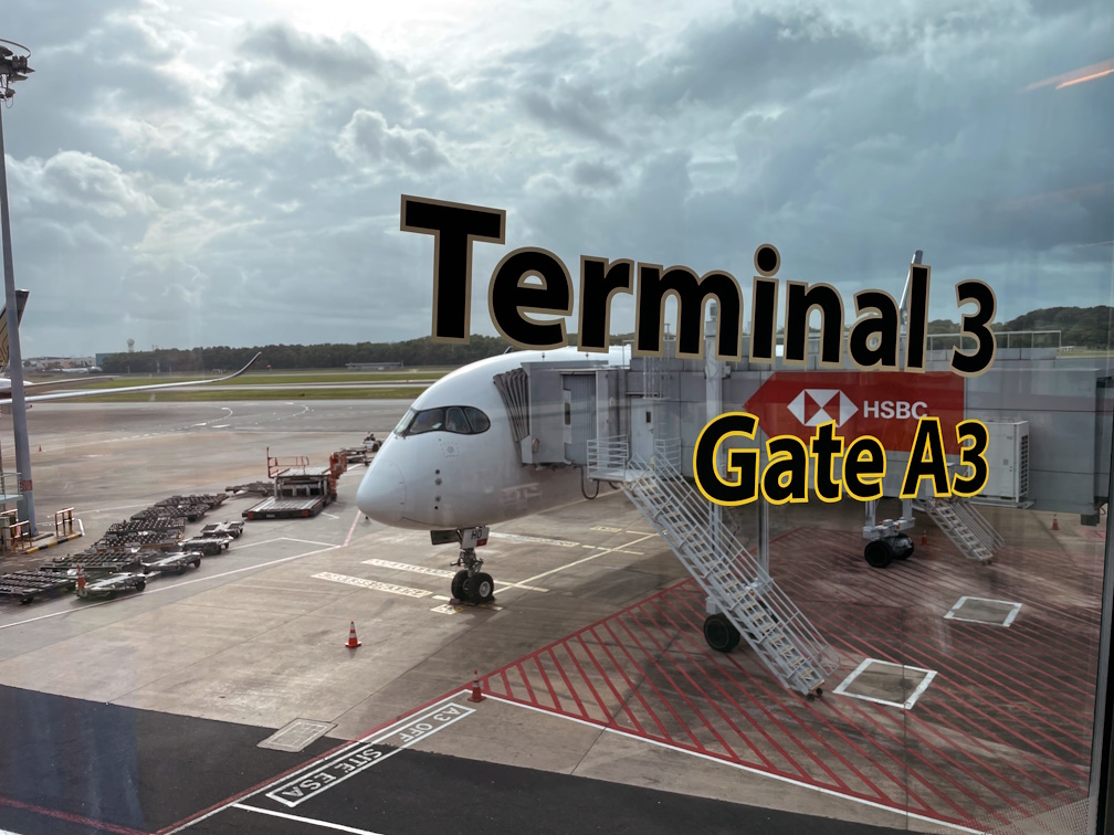 ターミナル3 A3ゲートに到着したSQ191便