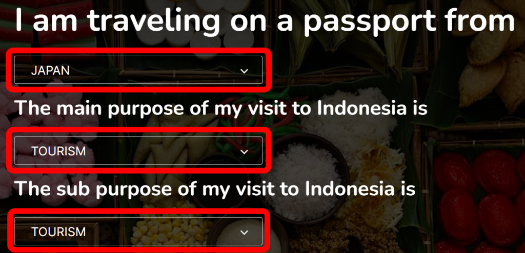 インドネシア入管 e-Visa 公式サイト 申請ページ（目的等）