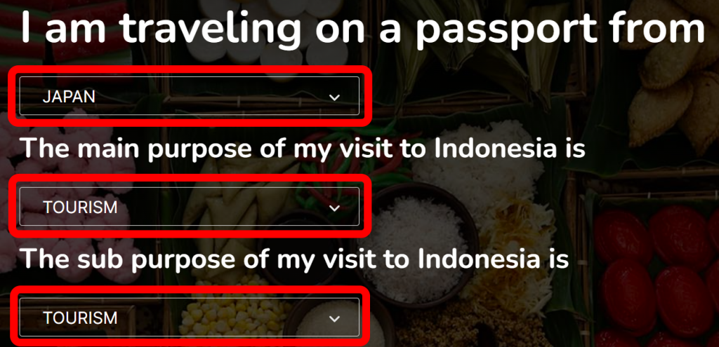 インドネシア入管 e-Visa 公式サイト 申請ページ(目的等)