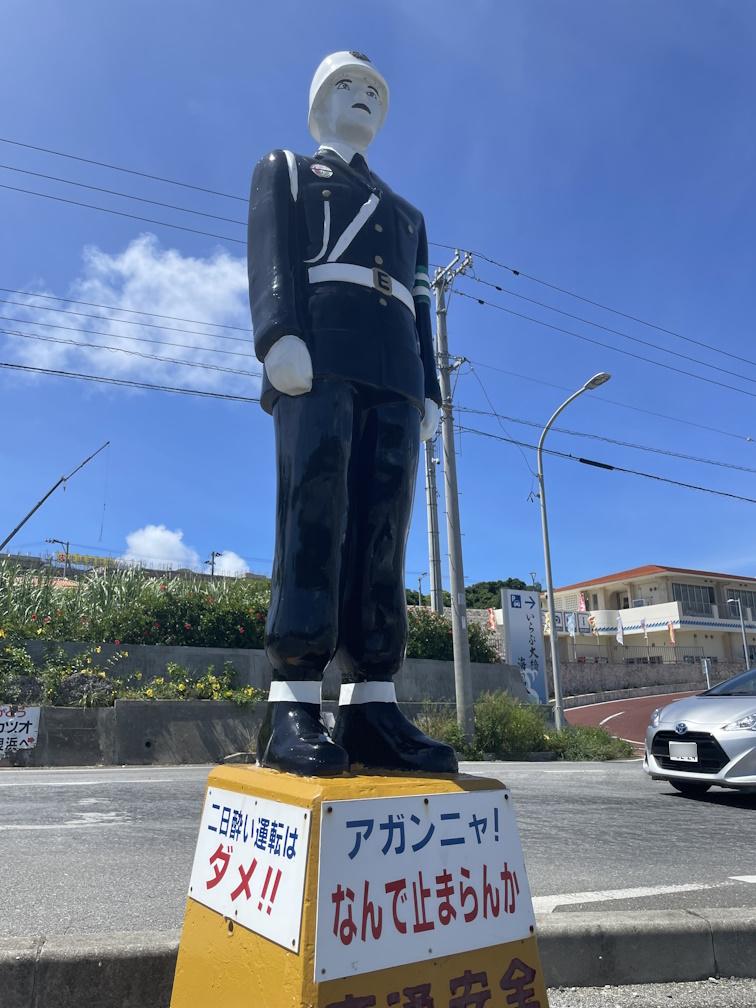 青い空とのコントラストが印象的なたかや君