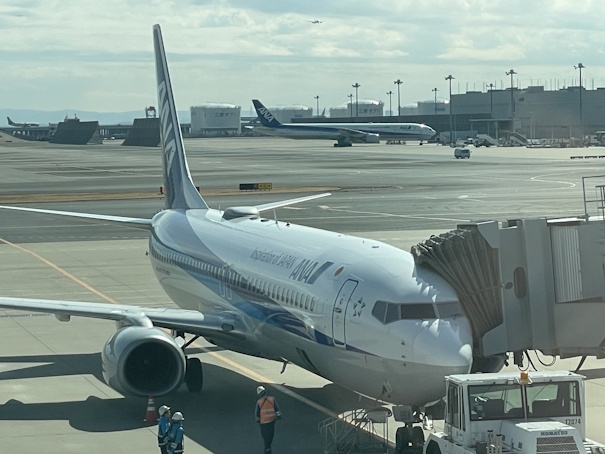 駐機中の中標津行きのB737-800