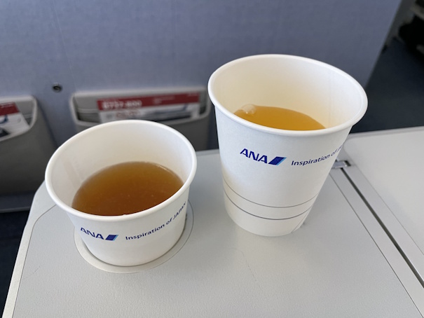 オニオンスープとアップルジュース