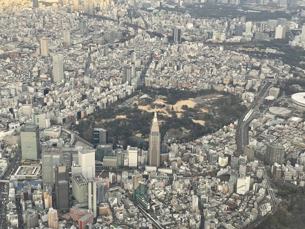 ドコモタワーと新宿御苑