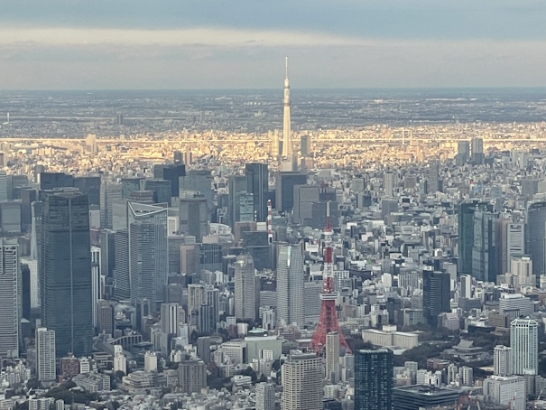 東京タワー、奥には東京スカイツリー