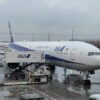羽田空港に到着したNH109便