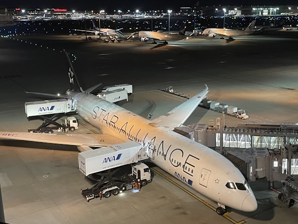 駐機中のB787-9(JA875A)