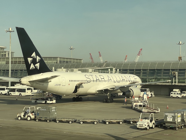 STAR ALLIANCE塗装のB767-300