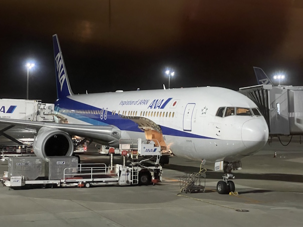 羽田空港に到着したNH264便