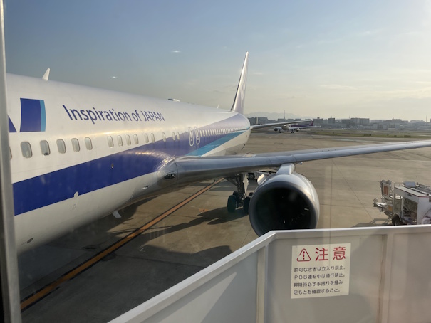 ボーディングブリッジ内から見たNH264便