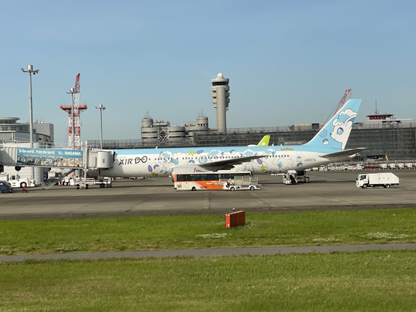 待機中のロコンジェット