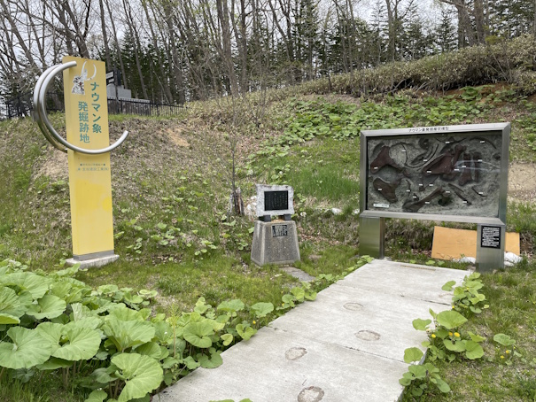 ナウマンゾウ発掘跡地